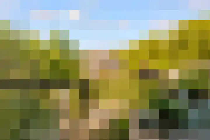 Tingietersgilde 12 Houten thumbnail 76
