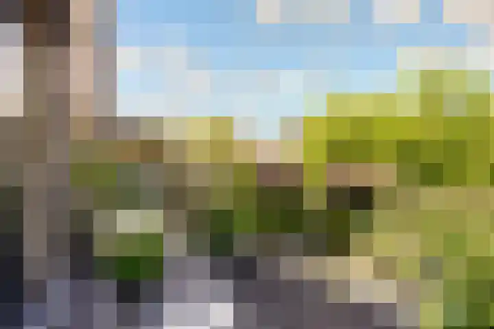 Tingietersgilde 12 Houten thumbnail 77