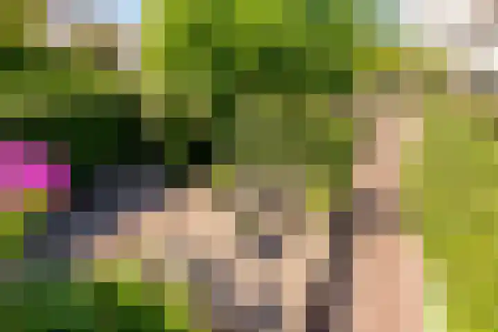 Tingietersgilde 12 Houten thumbnail 78