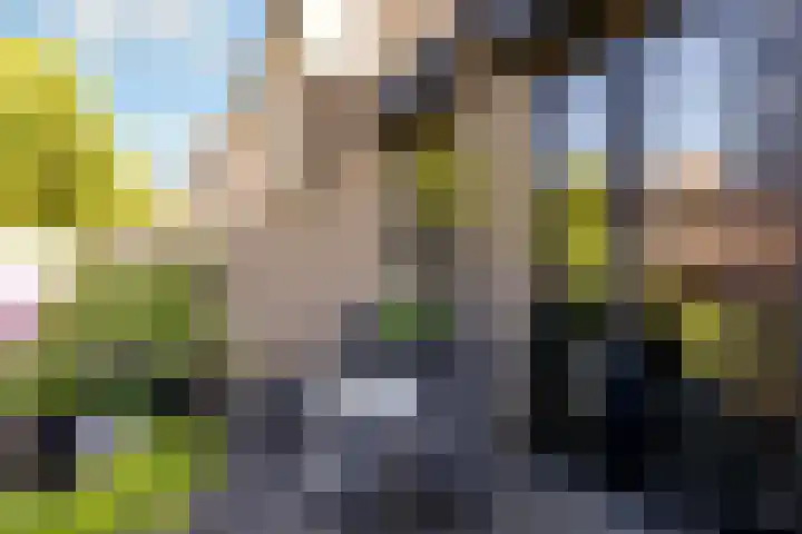 Tingietersgilde 12 Houten thumbnail 79
