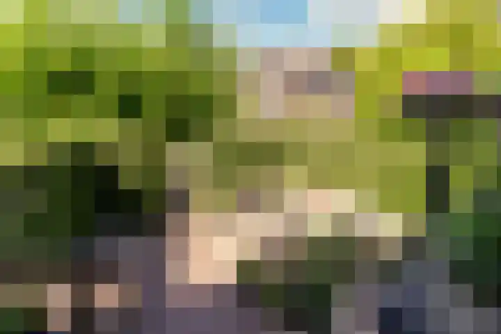 Tingietersgilde 12 Houten thumbnail 80