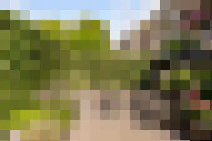 Tingietersgilde 12 Houten thumbnail 81