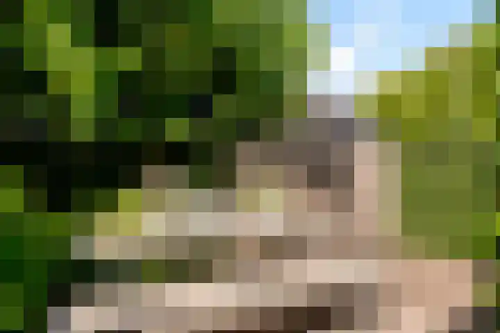 Tingietersgilde 12 Houten thumbnail 82