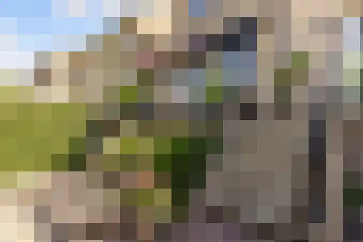 Tingietersgilde 12 Houten thumbnail 83