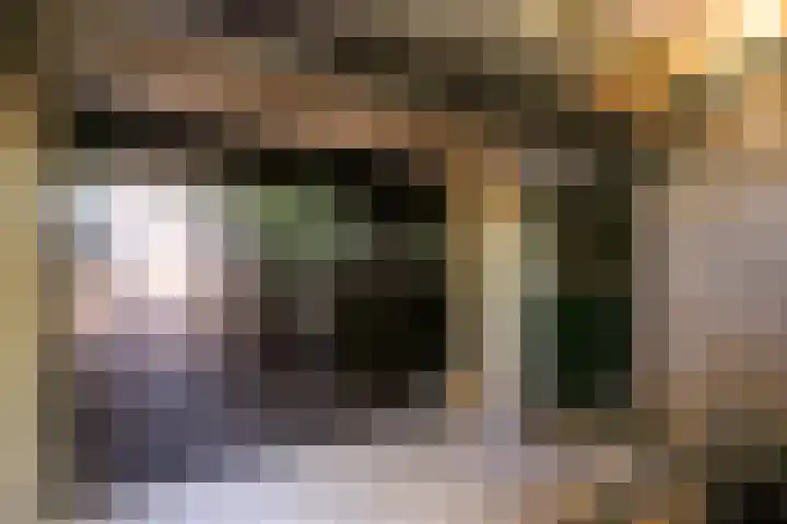 Tingietersgilde 12 Houten thumbnail 84