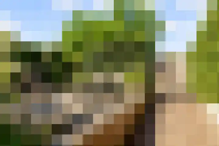 Tingietersgilde 12 Houten thumbnail 85