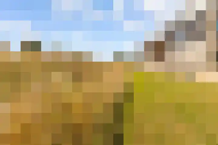 Tingietersgilde 12 Houten thumbnail 87