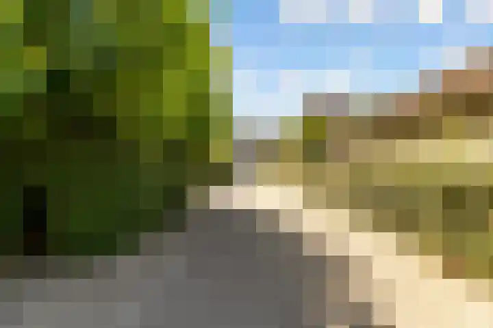 Tingietersgilde 12 Houten thumbnail 88