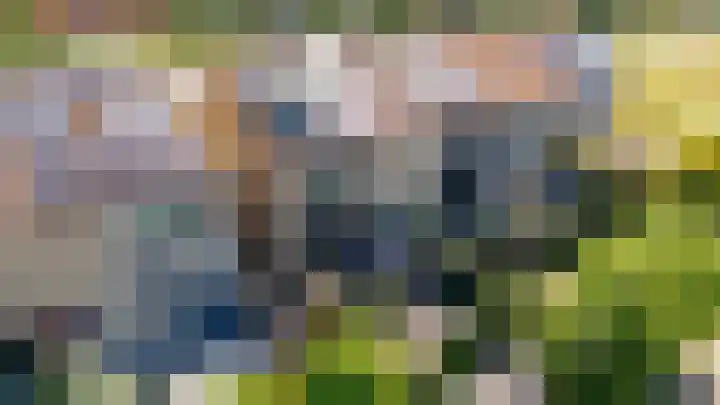 Tingietersgilde 12 Houten thumbnail 90