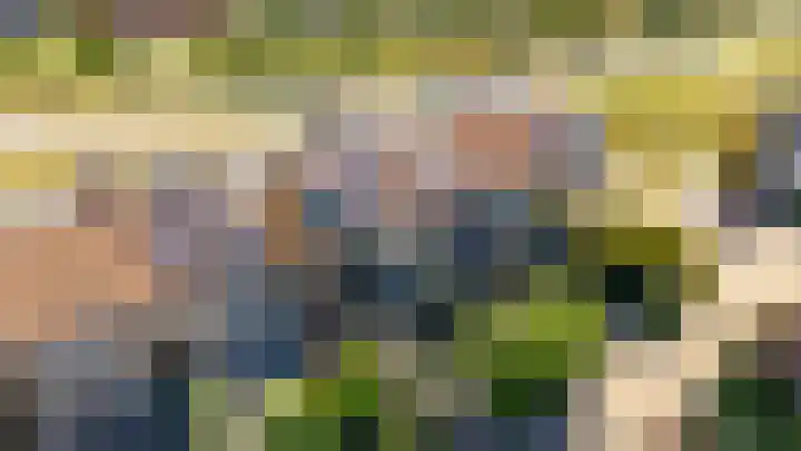 Tingietersgilde 12 Houten thumbnail 92