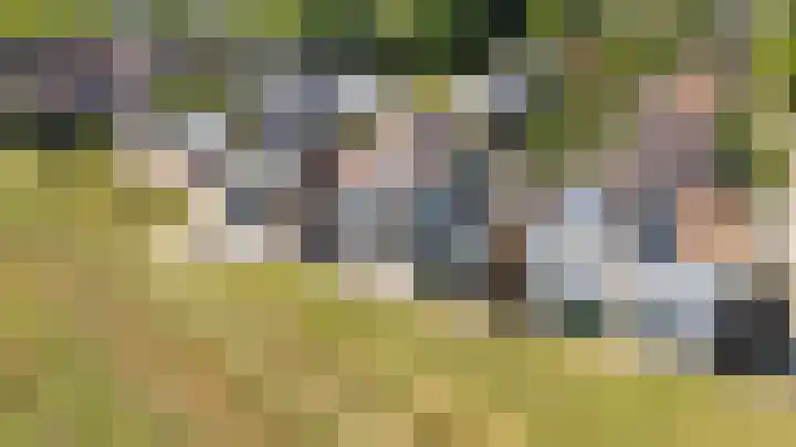 Tingietersgilde 12 Houten thumbnail 93