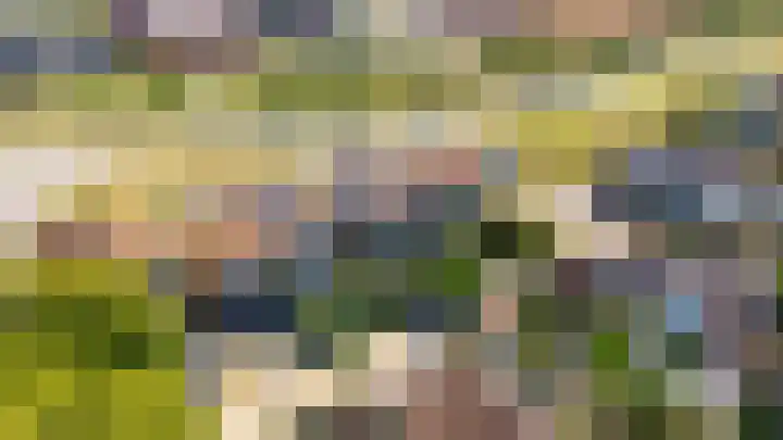 Tingietersgilde 12 Houten thumbnail 94