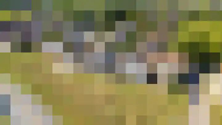 Tingietersgilde 12 Houten thumbnail 95
