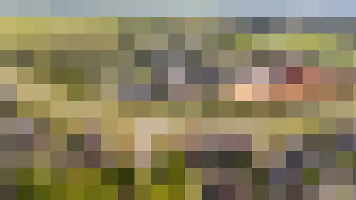 Tingietersgilde 12 Houten thumbnail 96