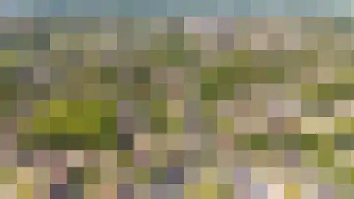 Tingietersgilde 12 Houten thumbnail 99