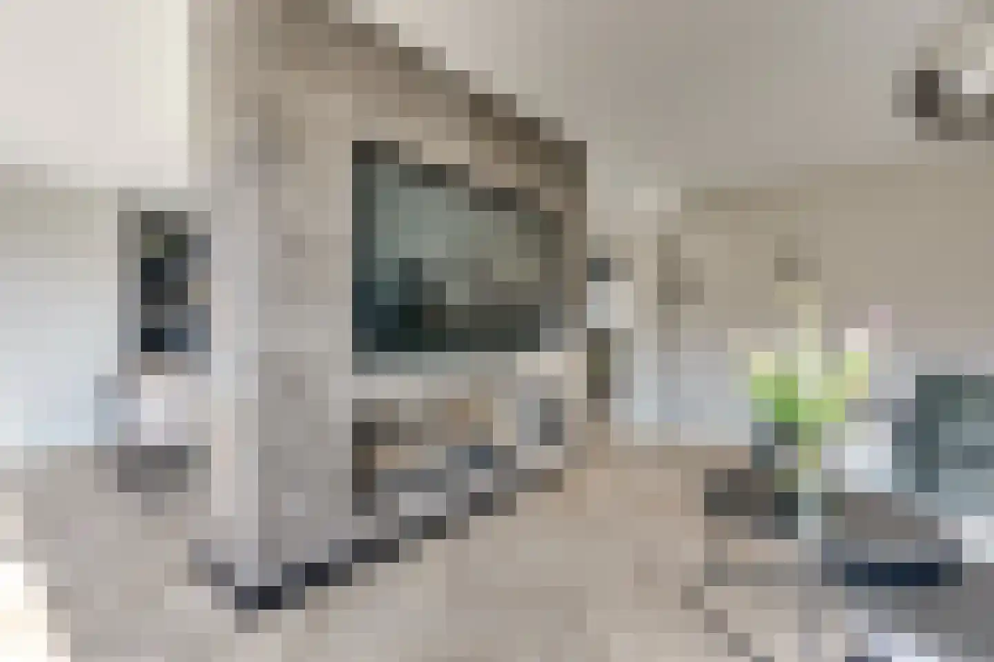 Tingietersgilde 7 Houten thumbnail 11