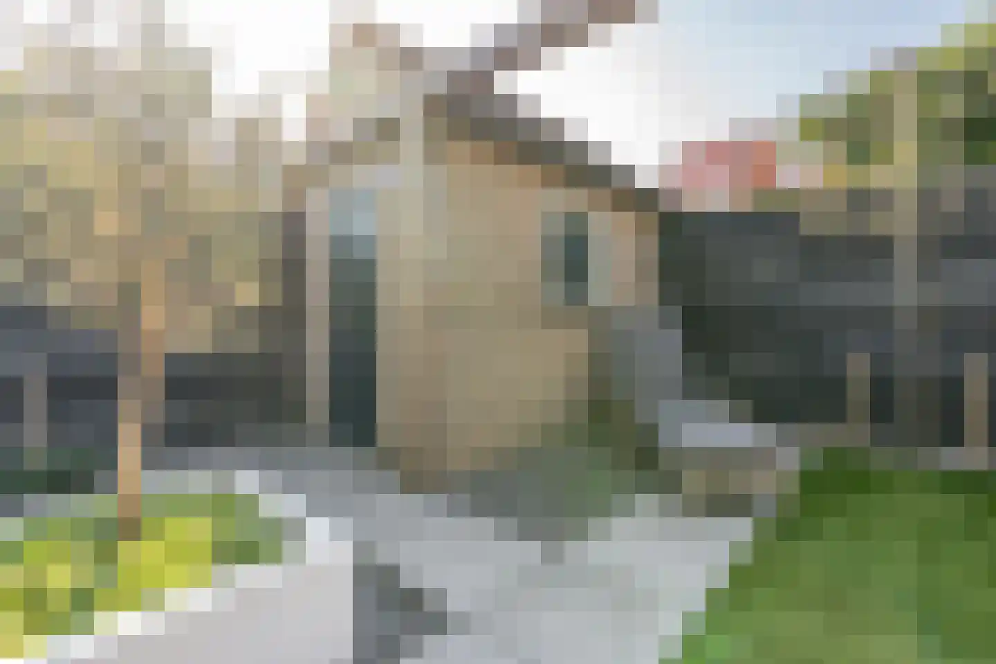 Tingietersgilde 7 Houten thumbnail 27