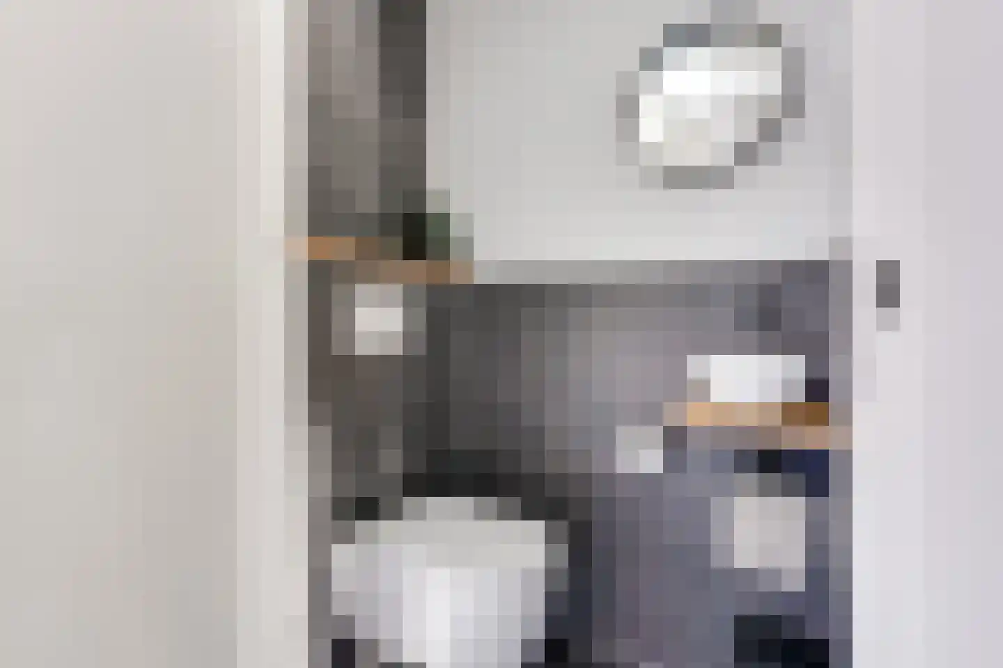 Tingietersgilde 7 Houten thumbnail 37