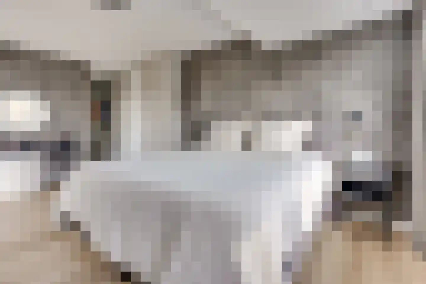 Tingietersgilde 7 Houten thumbnail 42