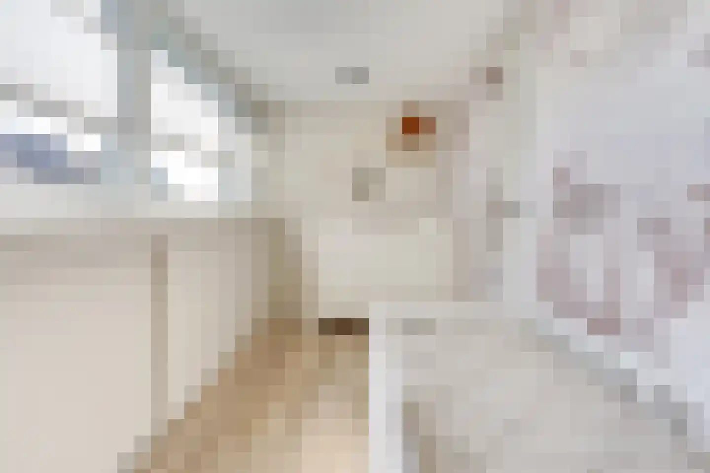 Tingietersgilde 7 Houten thumbnail 57
