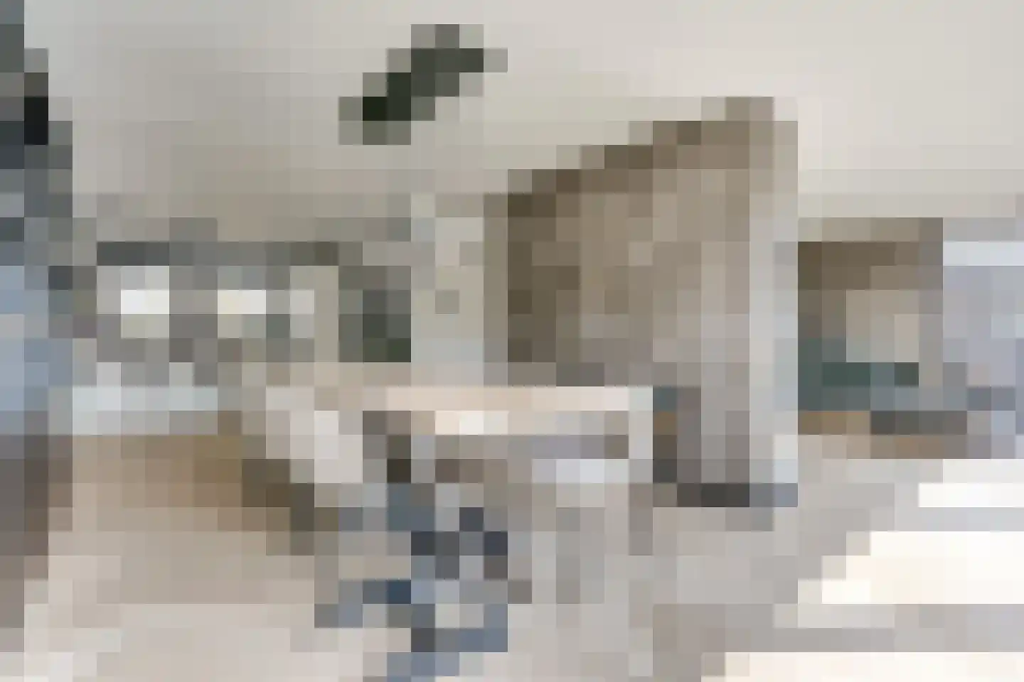 Tingietersgilde 7 Houten thumbnail 6
