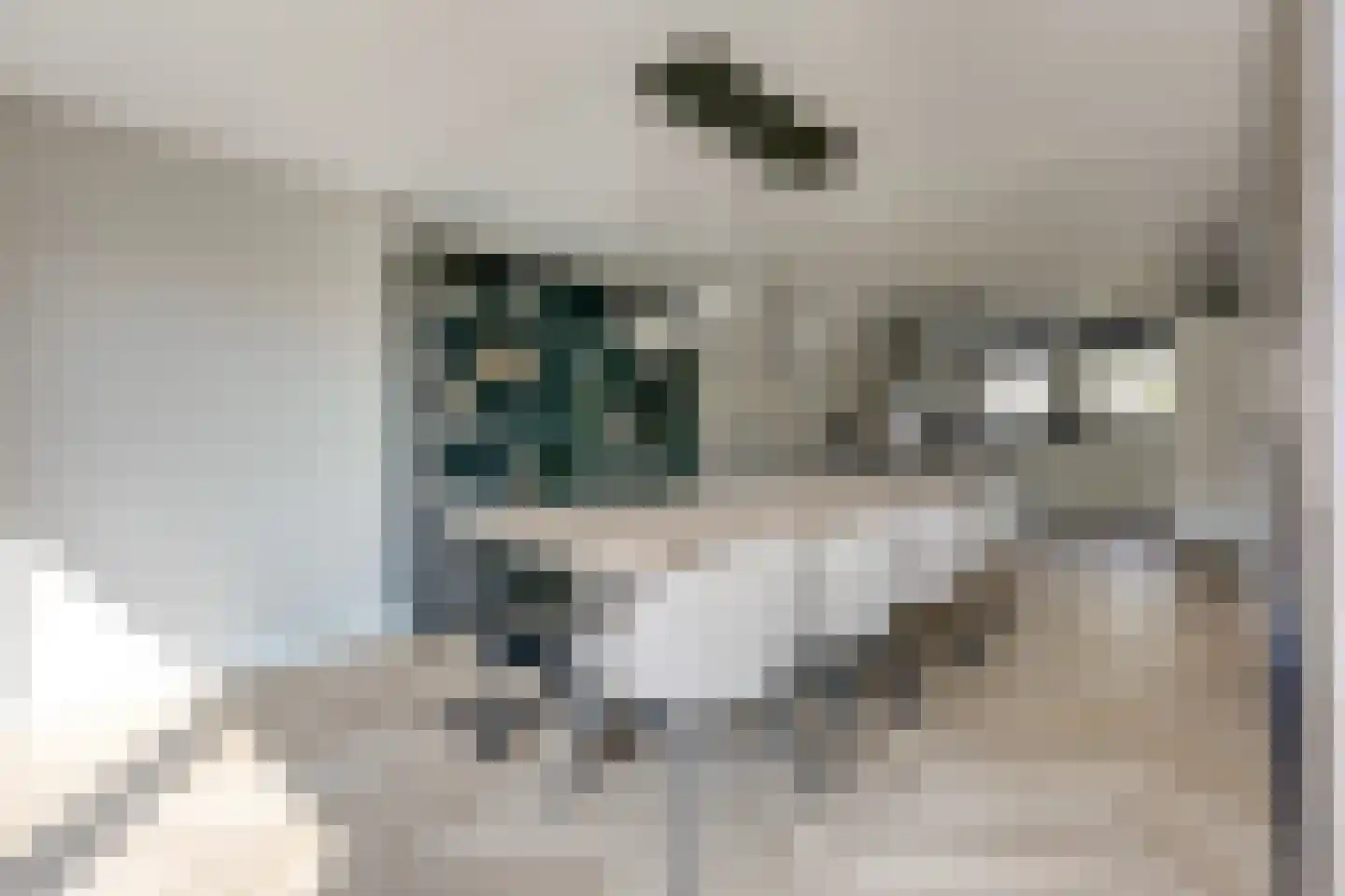 Tingietersgilde 7 Houten thumbnail 8