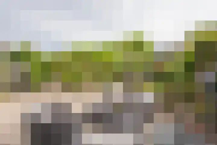 Tingieterstraat 13 Hoogland thumbnail 11