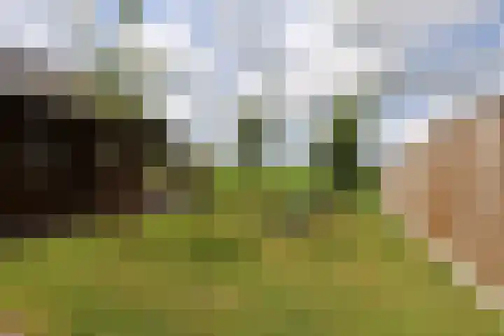 Tinkelenbergstrjitte 9 Sibrandabuorren thumbnail 10