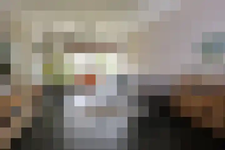 Tinkelenbergstrjitte 9 Sibrandabuorren thumbnail 11