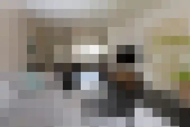 Tinkelenbergstrjitte 9 Sibrandabuorren thumbnail 12