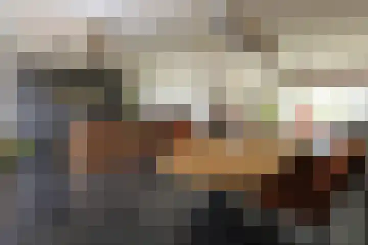 Tinkelenbergstrjitte 9 Sibrandabuorren thumbnail 13