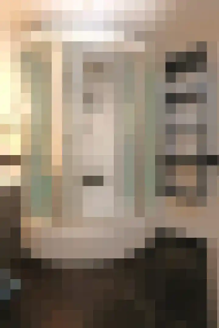 Tinkelenbergstrjitte 9 Sibrandabuorren thumbnail 18