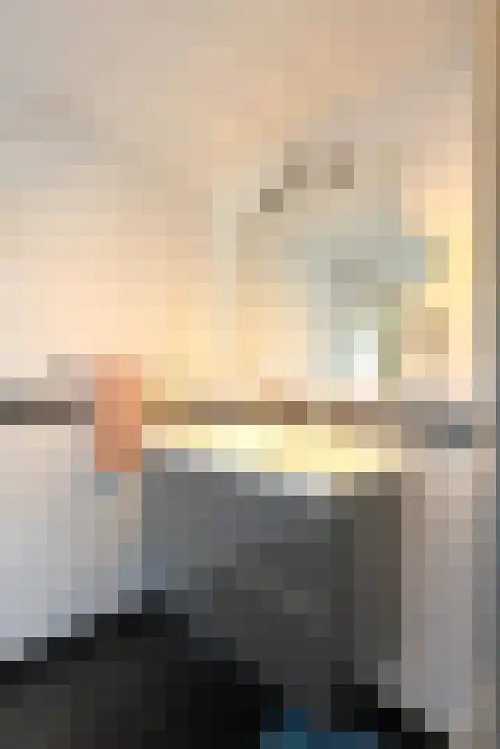 Tinkelenbergstrjitte 9 Sibrandabuorren thumbnail 19
