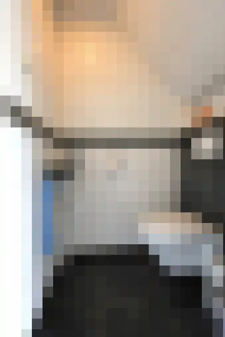 Tinkelenbergstrjitte 9 Sibrandabuorren thumbnail 20
