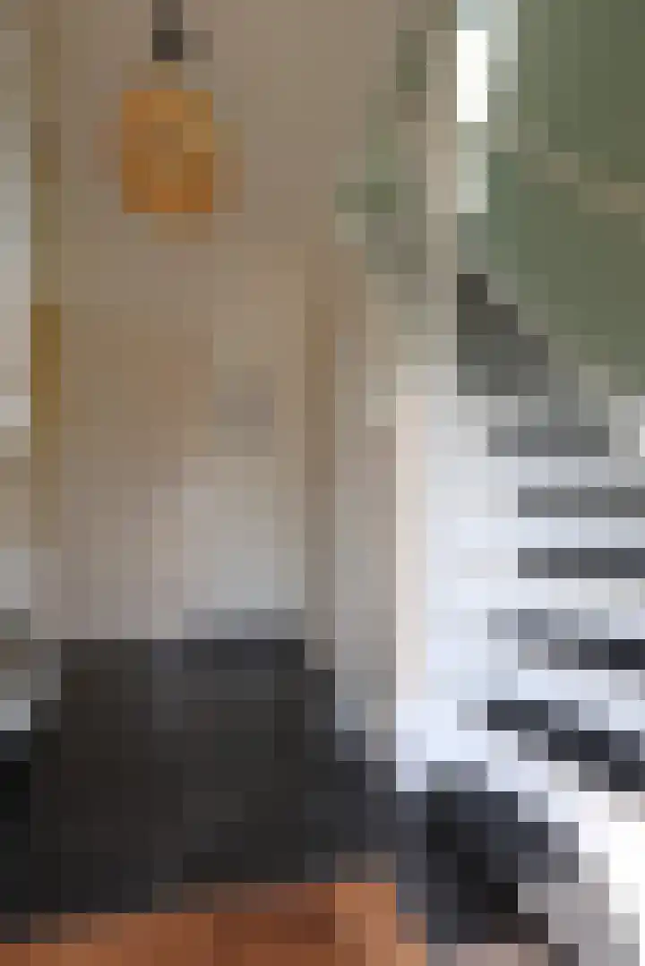 Tinkelenbergstrjitte 9 Sibrandabuorren thumbnail 22