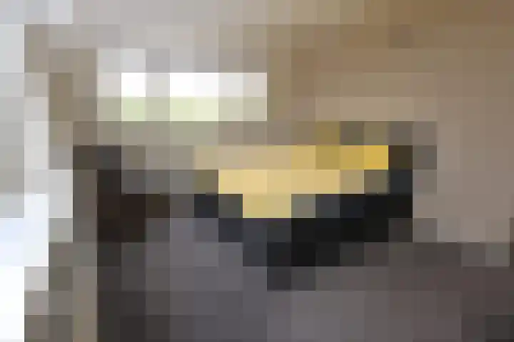 Tinkelenbergstrjitte 9 Sibrandabuorren thumbnail 23