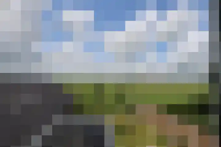 Tinkelenbergstrjitte 9 Sibrandabuorren thumbnail 25