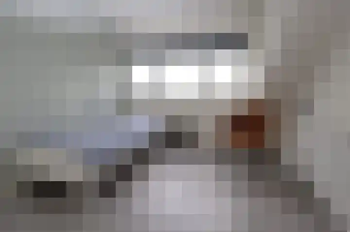 Tinkelenbergstrjitte 9 Sibrandabuorren thumbnail 26