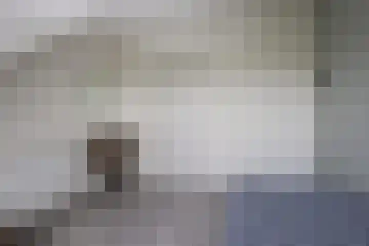 Tinkelenbergstrjitte 9 Sibrandabuorren thumbnail 27