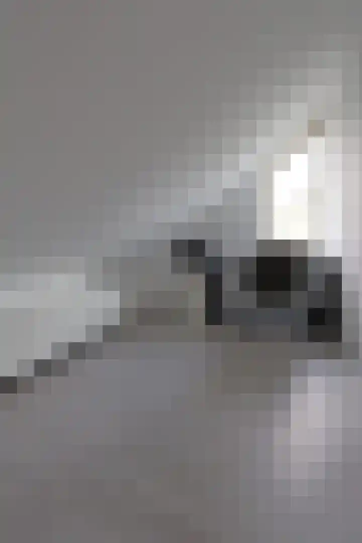 Tinkelenbergstrjitte 9 Sibrandabuorren thumbnail 28
