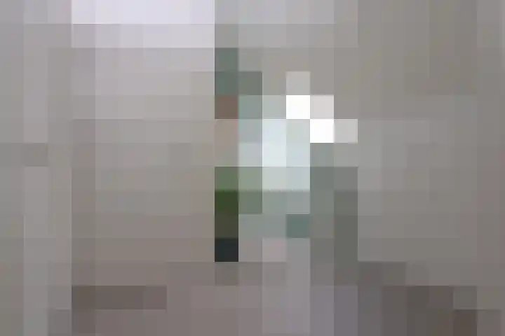 Tinkelenbergstrjitte 9 Sibrandabuorren thumbnail 29
