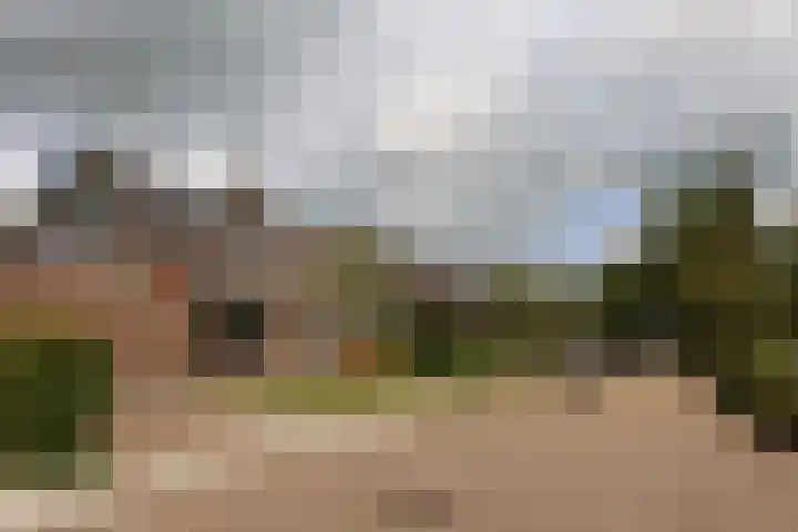 Tinkelenbergstrjitte 9 Sibrandabuorren foto 3