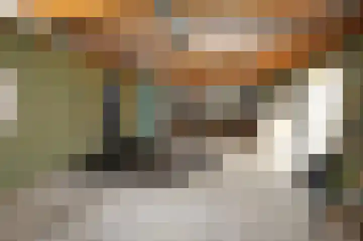 Tinkelenbergstrjitte 9 Sibrandabuorren thumbnail 30