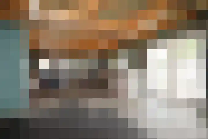 Tinkelenbergstrjitte 9 Sibrandabuorren thumbnail 31