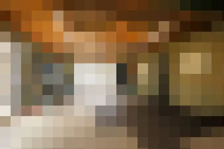 Tinkelenbergstrjitte 9 Sibrandabuorren thumbnail 32