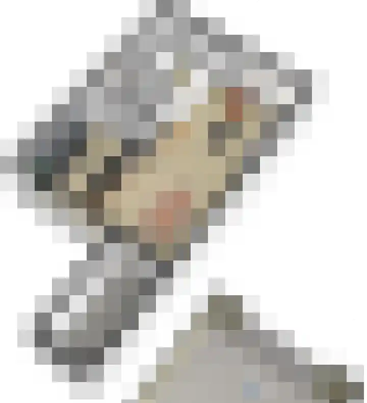Tinkelenbergstrjitte 9 Sibrandabuorren thumbnail 38