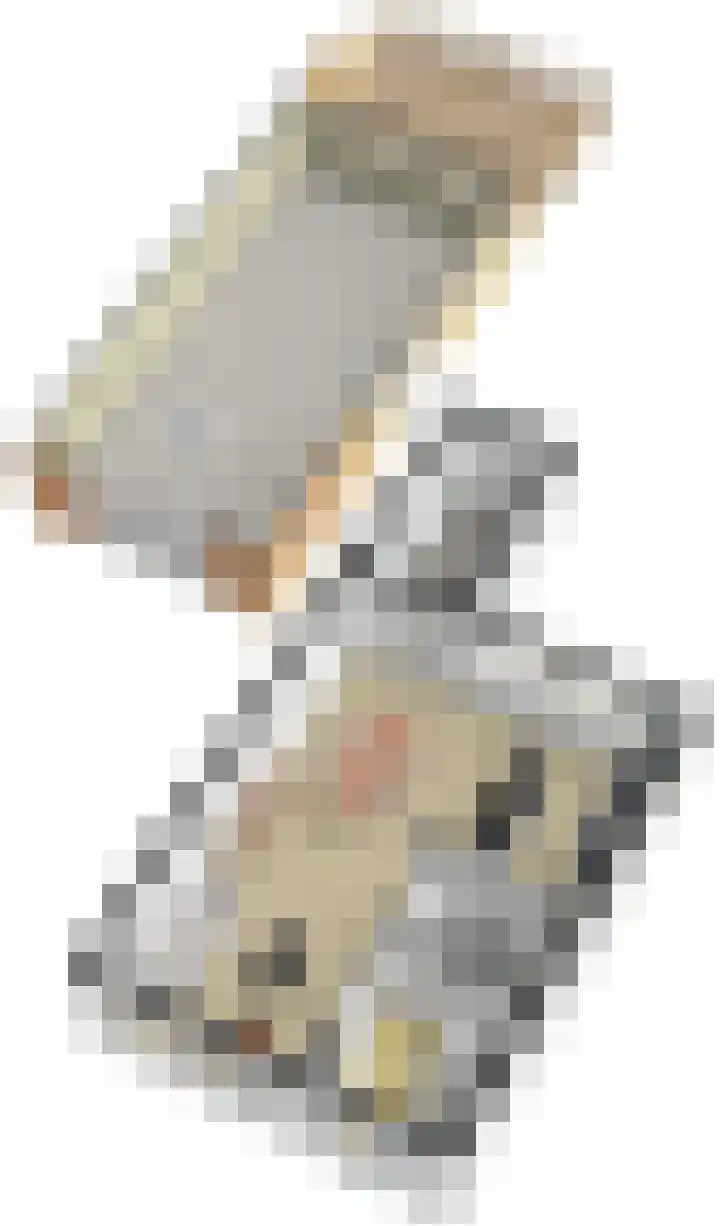 Tinkelenbergstrjitte 9 Sibrandabuorren thumbnail 39