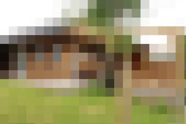 Tinkelenbergstrjitte 9 Sibrandabuorren thumbnail 4