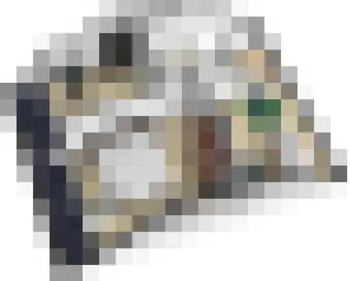 Tinkelenbergstrjitte 9 Sibrandabuorren thumbnail 41