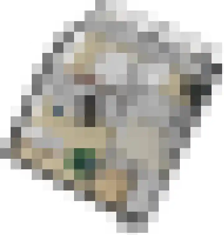 Tinkelenbergstrjitte 9 Sibrandabuorren thumbnail 42